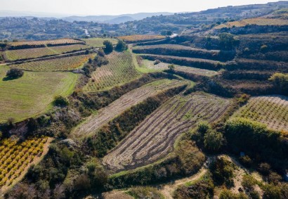Stroumbi, Paphos Agricultural Land For Sale | DT3820