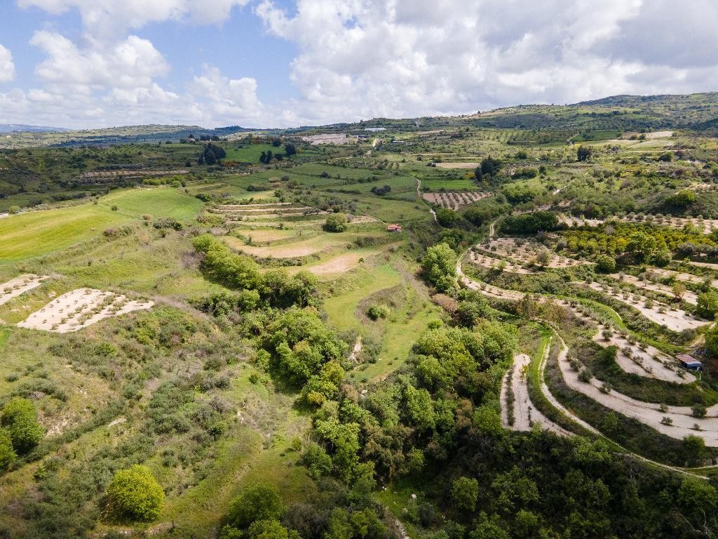 Theletra, Paphos Agricultural Land For Sale | DT3821