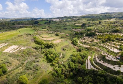 Theletra, Paphos Agricultural Land For Sale | DT3821
