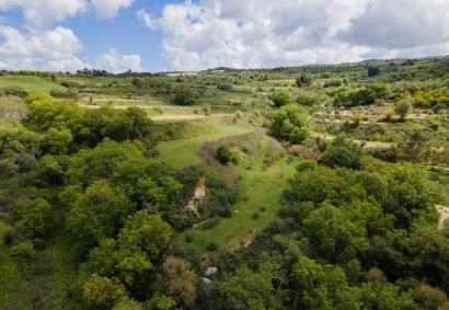 Theletra, Paphos Agricultural Land For Sale | DT3821