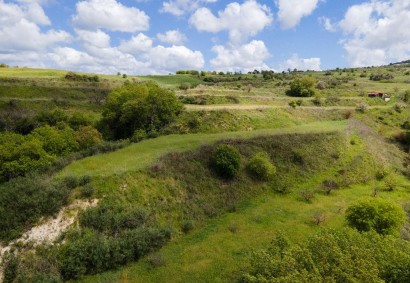 Theletra, Paphos Agricultural Land For Sale | DT3821