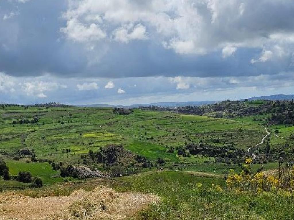 Thrinia, Paphos Agricultural Land For Sale | DT3916