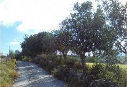 Thrinia, Paphos Agricultural Land For Sale | DT3917