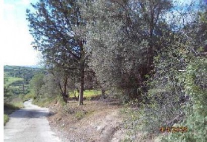Thrinia, Paphos Agricultural Land For Sale | DT3917