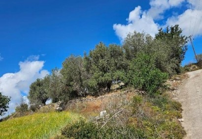 Thrinia, Paphos Agricultural Land For Sale | DT3917