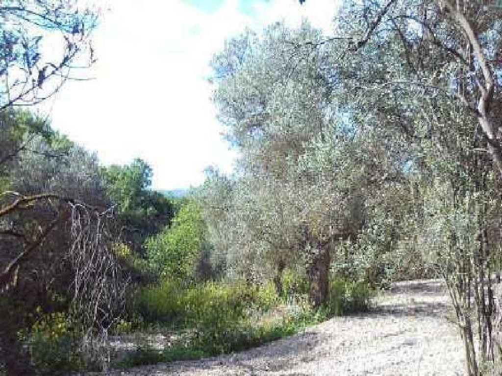Thrinia, Paphos Residential Land For Sale | DT3919