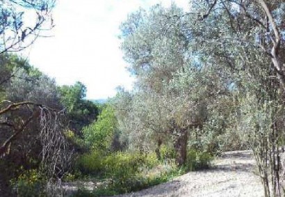 Thrinia, Paphos Residential Land For Sale | DT3919