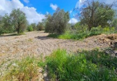 Thrinia, Paphos Residential Land For Sale | DT3921