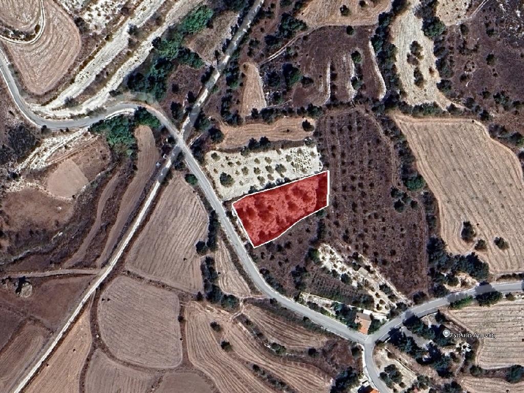 Field - Thrinia, Paphos