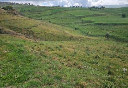 Thrinia, Paphos Agricultural Land For Sale | DT3922