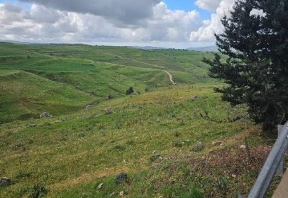 Thrinia, Paphos Agricultural Land For Sale | DT3922