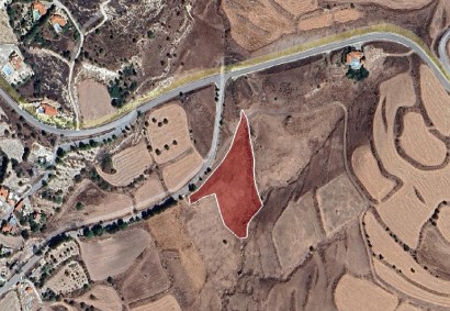 Thrinia, Paphos Agricultural Land For Sale | DT3922