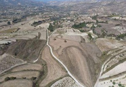 Stroumbi, Paphos Agricultural Land For Sale | DT3952
