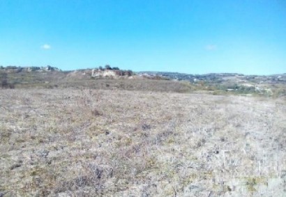 Stroumbi, Paphos Agricultural Land For Sale | DT3952
