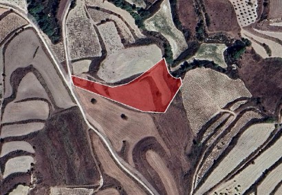 Stroumbi, Paphos Agricultural Land For Sale | DT3952