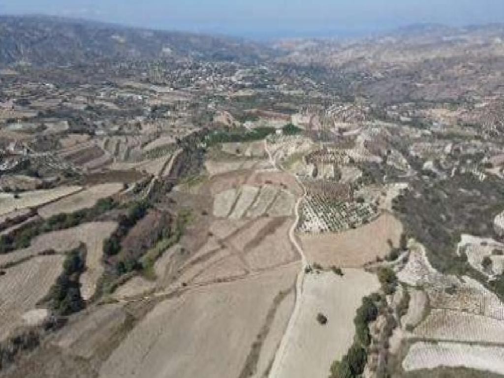 Field - Giolou, Paphos