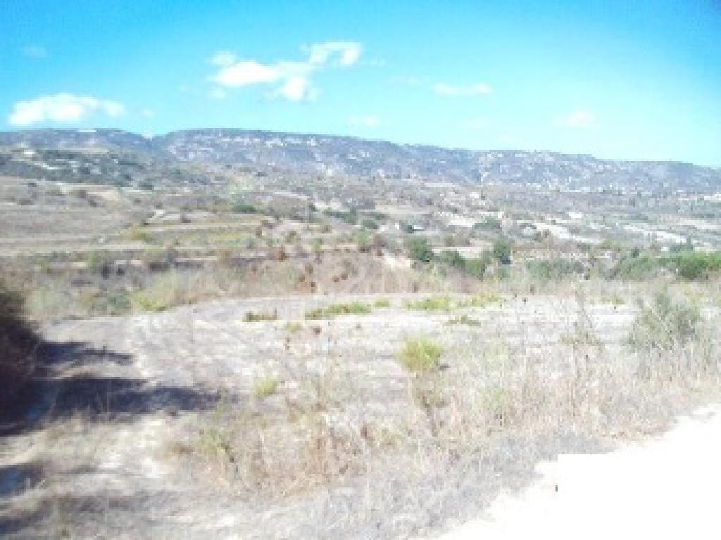 Field - Giolou, Paphos