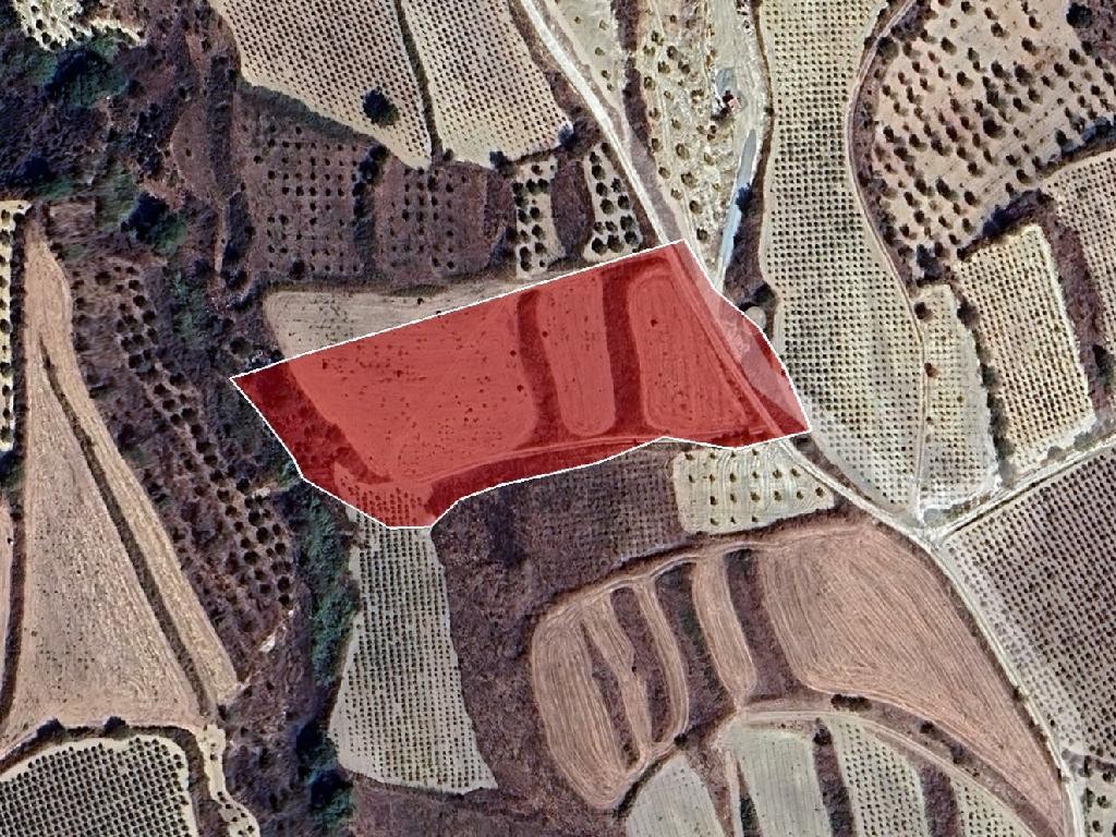 Giolou, Paphos Agricultural Land For Sale | DT3953