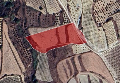 Giolou, Paphos Agricultural Land For Sale | DT3953