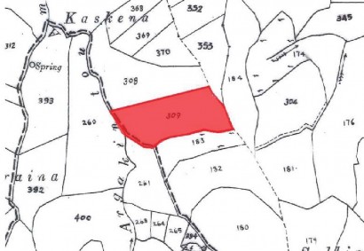 Giolou, Paphos Agricultural Land For Sale | DT3953