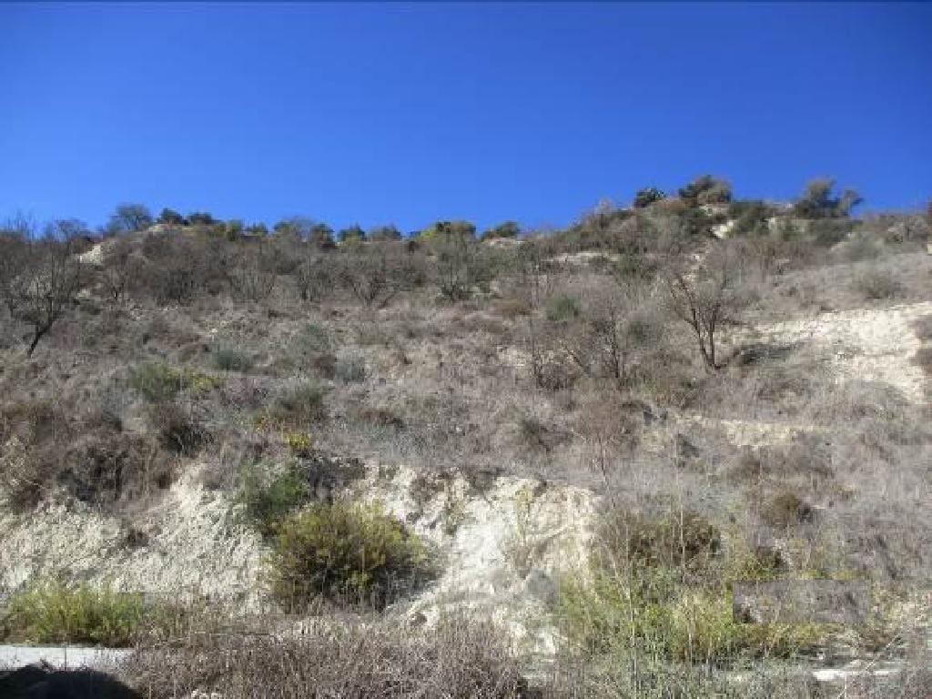 Tsada, Paphos Agricultural Land For Sale | DT3973