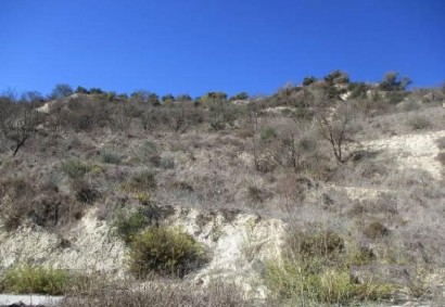 Tsada, Paphos Agricultural Land For Sale | DT3973