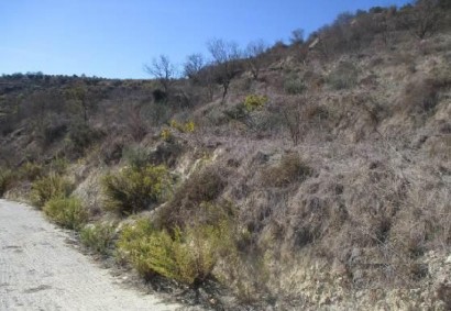 Tsada, Paphos Agricultural Land For Sale | DT3973