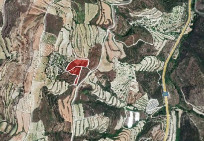 Tsada, Paphos Agricultural Land For Sale | DT3973