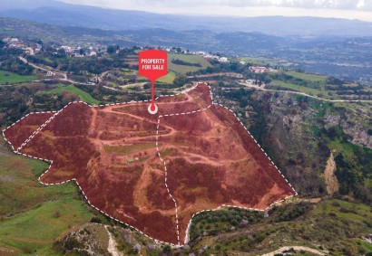 Psathi, Paphos Agricultural Land For Sale | DT3986