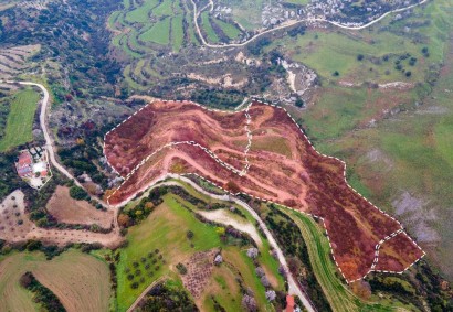 Psathi, Paphos Agricultural Land For Sale | DT3986