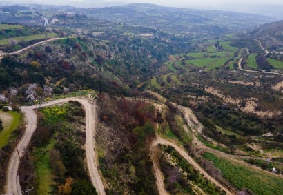Psathi, Paphos Agricultural Land For Sale | DT3986
