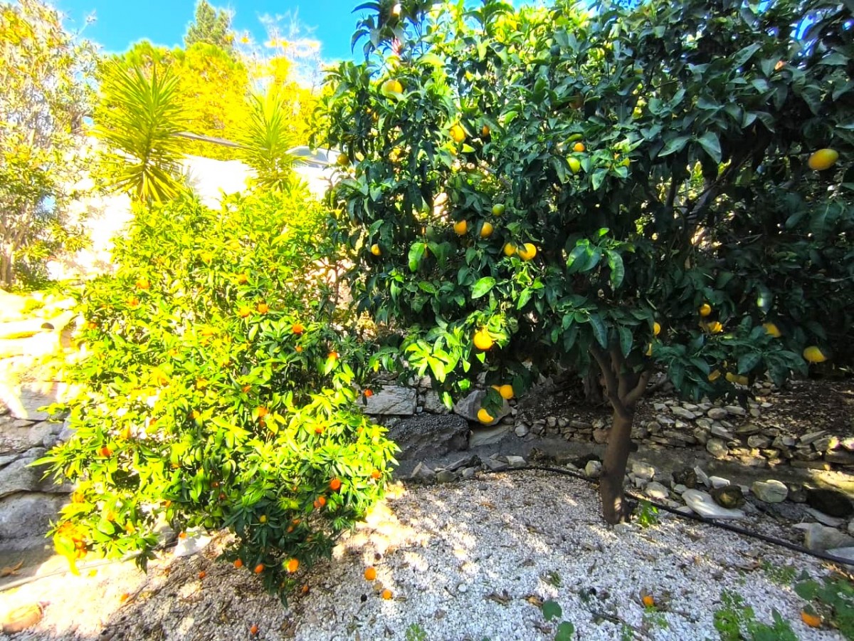 Detached Villa For Sale  in  Tala - Kamares