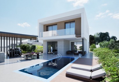 Tala, Paphos Detached Villa For Sale | DT4023