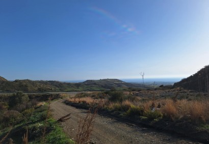 Anarita, Paphos Agricultural Land For Sale | DT4042