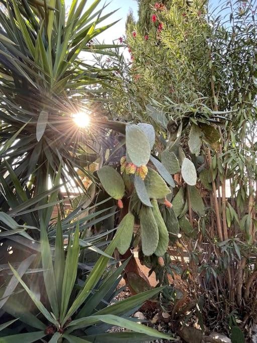 Detached Villa For Sale  in  Chlorakas