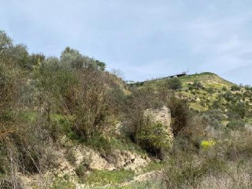 Amargeti, Paphos Agricultural Land For Sale | DT4181