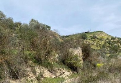 Amargeti, Paphos Agricultural Land For Sale | DT4181