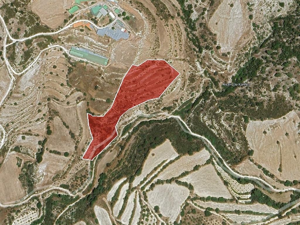 Field - Amargeti, Paphos