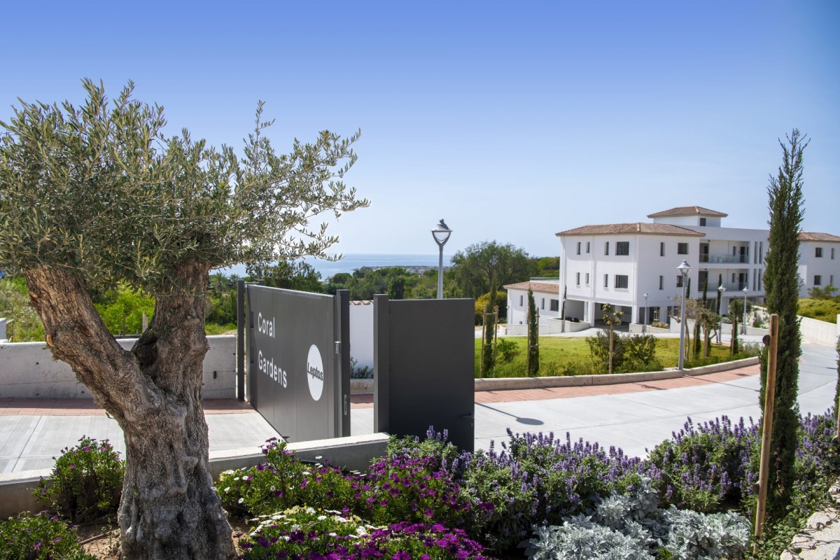 Apartments / Penthouses in Coral Bay