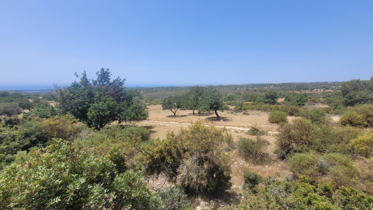 Villas / Houses in Souni-Zanatzia