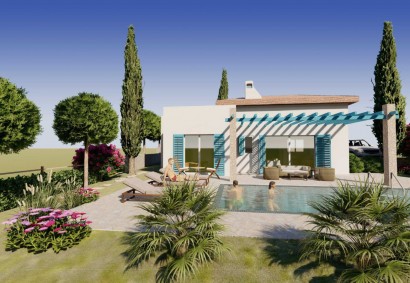 Souni, Limassol Detached Villa For Sale | DT4359