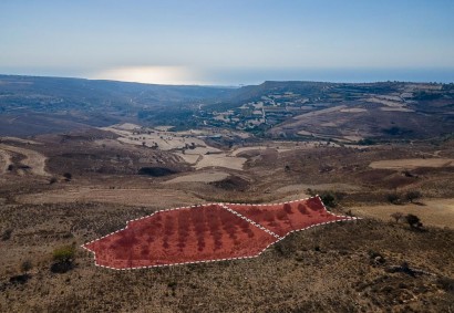 Ineia, Paphos Touristic Land For Sale | DT4495