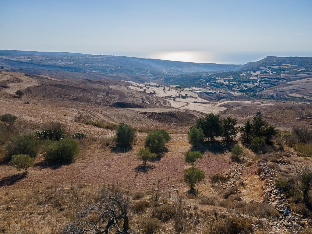 Field - Ineia, Paphos