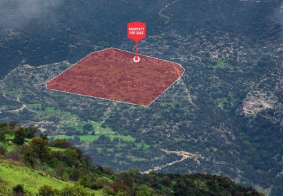 Akoursos, Paphos Agricultural Land For Sale | DT4677