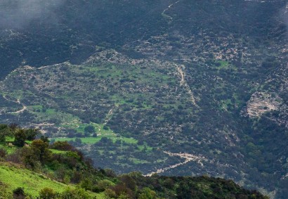 Akoursos, Paphos Agricultural Land For Sale | DT4677