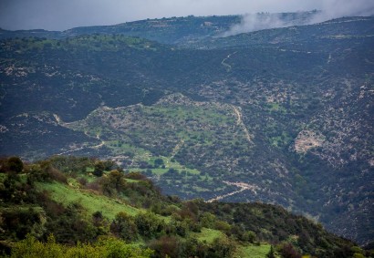 Akoursos, Paphos Agricultural Land For Sale | DT4677