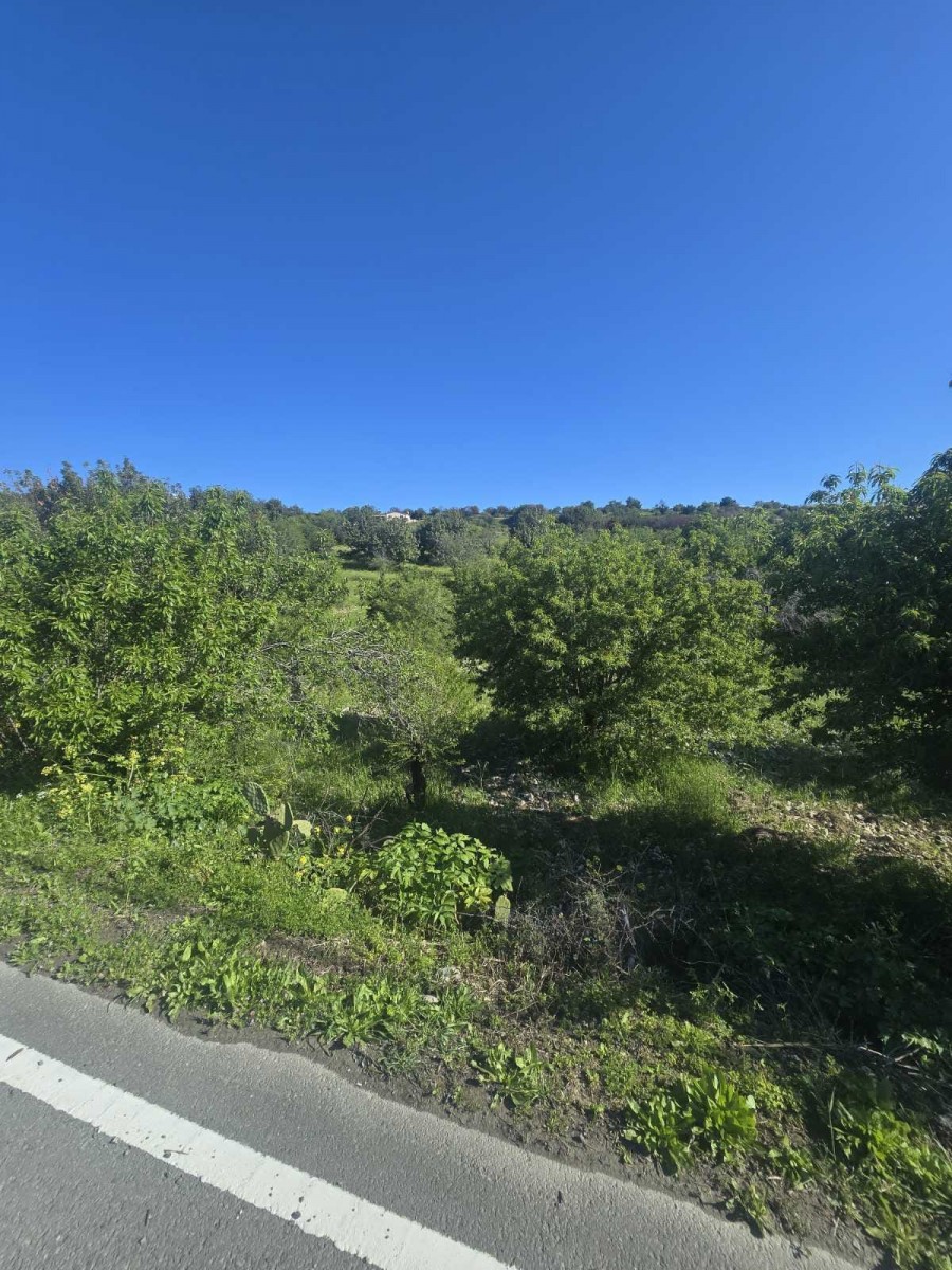 Limnatis, Limassol Residential Land For Sale | DT4691