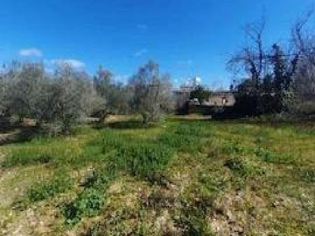 Koili, Paphos Residential Land For Sale | DT4694