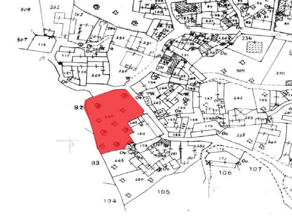 Field - Koili, Paphos