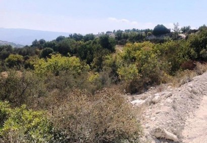 Peristerona, Paphos Agricultural Land For Sale | DT4704
